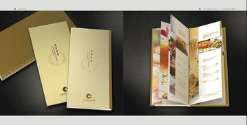 酒店餐飲用品平面設(shè)計(jì)與餐飲文化項(xiàng)目策劃 構(gòu)筑沉浸式賓客體驗(yàn)